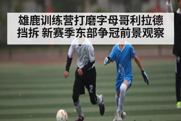 雄鹿训练营打磨字母哥利拉德挡拆 新赛季东部争冠前景观察